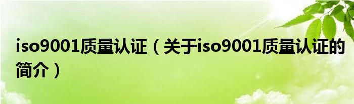 iso9001質(zhì)量認證（關(guān)于iso9001質(zhì)量認證的簡介）