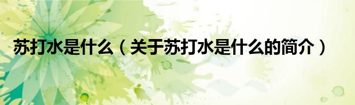 蘇打水是什么（關(guān)于蘇打水是什么的簡(jiǎn)介）