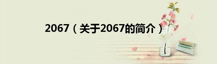 2067（關(guān)于2067的簡(jiǎn)介）