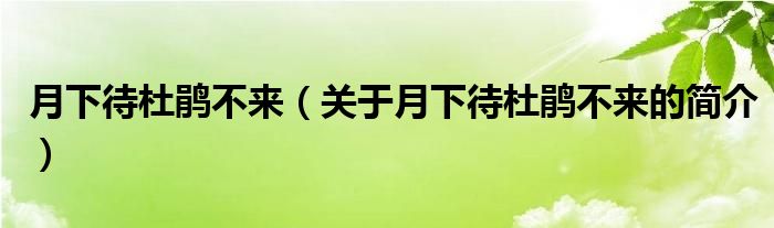 月下待杜鵑不來(lái)（關(guān)于月下待杜鵑不來(lái)的簡(jiǎn)介）