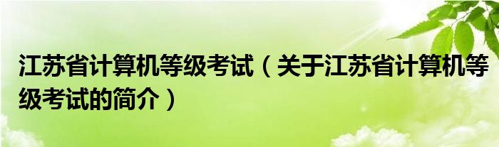 江蘇省計(jì)算機(jī)等級考試（關(guān)于江蘇省計(jì)算機(jī)等級考試的簡介）