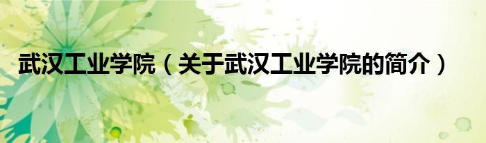 武漢工業(yè)學(xué)院（關(guān)于武漢工業(yè)學(xué)院的簡(jiǎn)介）