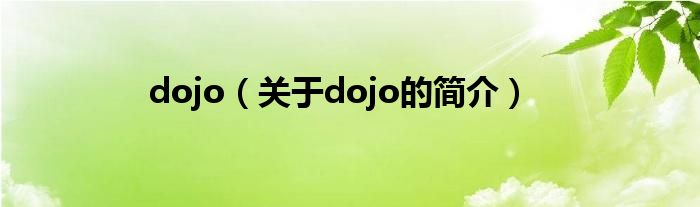 dojo（關(guān)于dojo的簡(jiǎn)介）