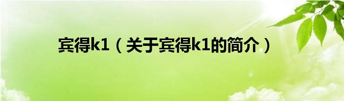 賓得k1（關(guān)于賓得k1的簡介）