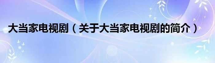 大當(dāng)家電視?。P(guān)于大當(dāng)家電視劇的簡介）