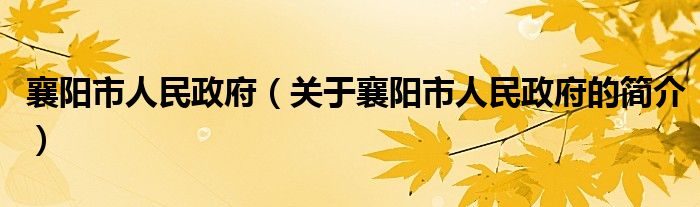 襄陽市人民政府（關(guān)于襄陽市人民政府的簡介）