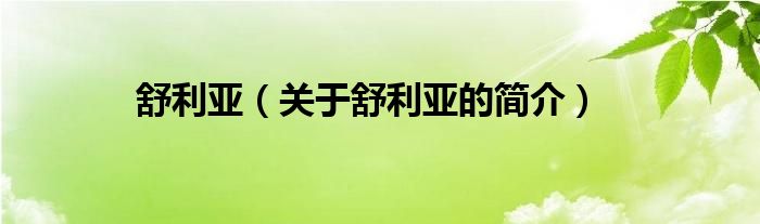 舒利亞（關(guān)于舒利亞的簡介）