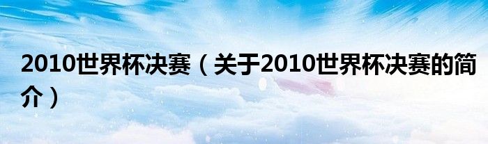 2010世界杯決賽（關(guān)于2010世界杯決賽的簡介）