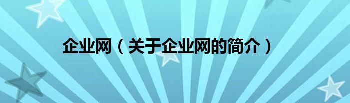 企業(yè)網(wǎng)（關(guān)于企業(yè)網(wǎng)的簡介）