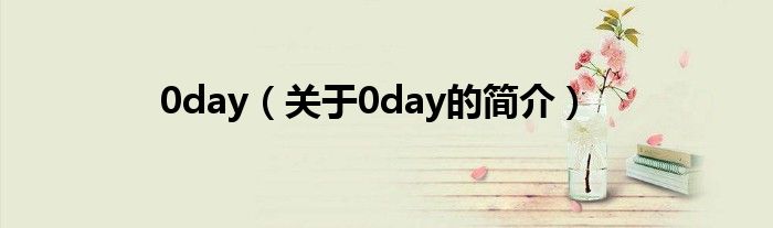 0day（關(guān)于0day的簡介）