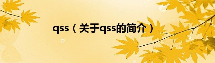 qss（關于qss的簡介）