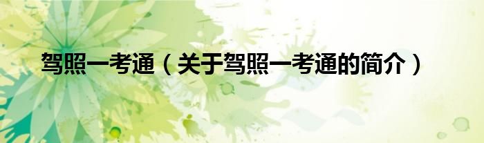 駕照一考通（關(guān)于駕照一考通的簡(jiǎn)介）