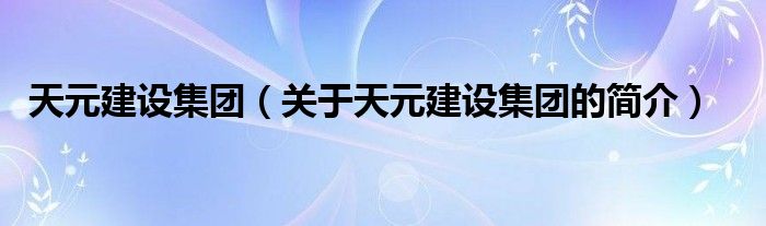 天元建設集團（關于天元建設集團的簡介）