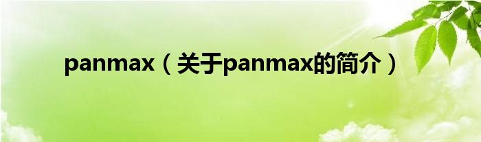 panmax（關(guān)于panmax的簡(jiǎn)介）