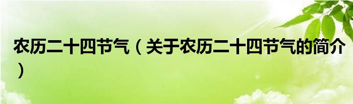 農(nóng)歷二十四節(jié)氣（關(guān)于農(nóng)歷二十四節(jié)氣的簡介）