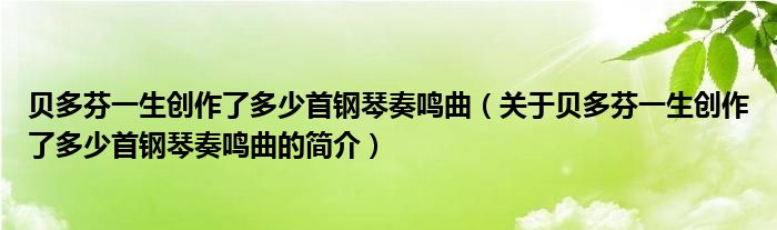 貝多芬一生創(chuàng)作了多少首鋼琴奏鳴曲（關(guān)于貝多芬一生創(chuàng)作了多少首鋼琴奏鳴曲的簡介）