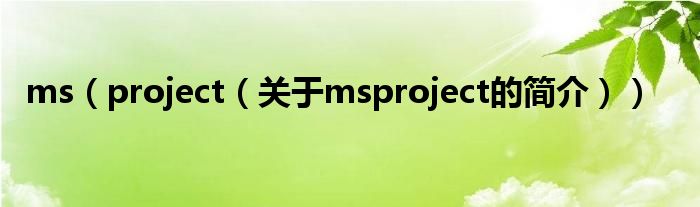 ms（project（關(guān)于msproject的簡介））