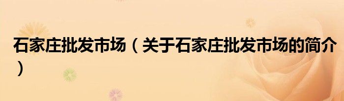 石家莊批發(fā)市場（關(guān)于石家莊批發(fā)市場的簡介）