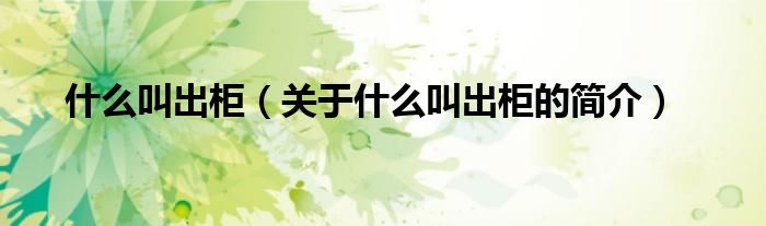 什么叫出柜（關(guān)于什么叫出柜的簡(jiǎn)介）