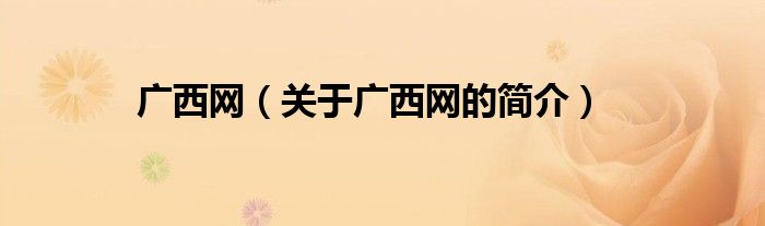 廣西網(wǎng)（關(guān)于廣西網(wǎng)的簡(jiǎn)介）