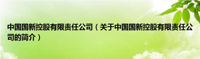 中國國新控股有限責(zé)任公司（關(guān)于中國國新控股有限責(zé)任公司的簡介）