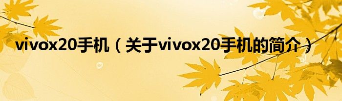 vivox20手機(jī)（關(guān)于vivox20手機(jī)的簡(jiǎn)介）