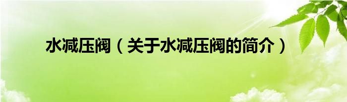 水減壓閥（關(guān)于水減壓閥的簡介）