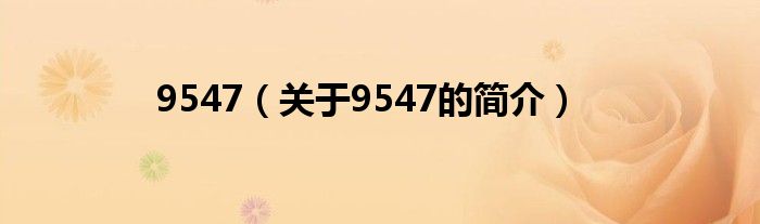 9547（關(guān)于9547的簡(jiǎn)介）