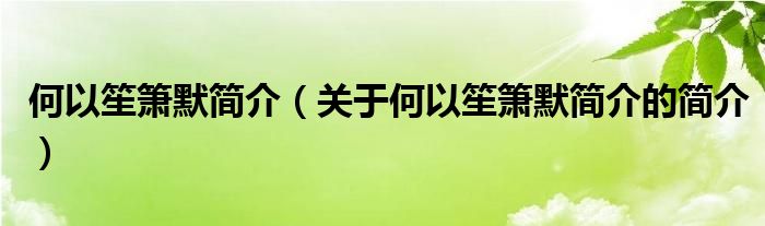 何以笙簫默簡(jiǎn)介（關(guān)于何以笙簫默簡(jiǎn)介的簡(jiǎn)介）