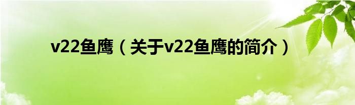 v22魚鷹（關于v22魚鷹的簡介）