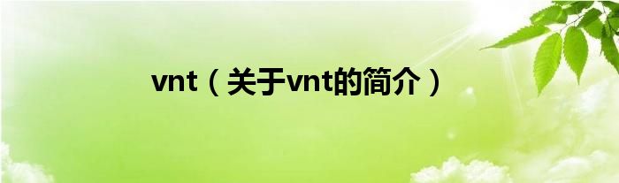 vnt（關于vnt的簡介）