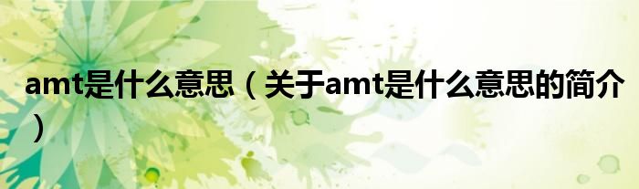 amt是什么意思（關(guān)于amt是什么意思的簡介）