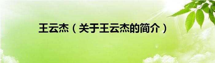 王云杰（關(guān)于王云杰的簡(jiǎn)介）