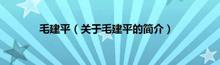 毛建平（關(guān)于毛建平的簡(jiǎn)介）