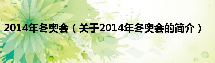 2014年冬奧會(huì)（關(guān)于2014年冬奧會(huì)的簡(jiǎn)介）