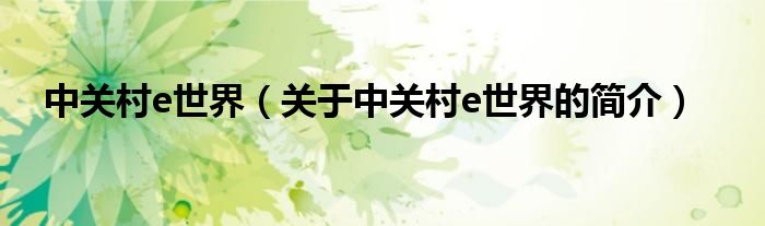 中關村e世界（關于中關村e世界的簡介）