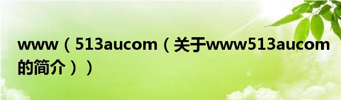 www（513aucom（關(guān)于www513aucom的簡介））