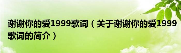 謝謝你的愛(ài)1999歌詞（關(guān)于謝謝你的愛(ài)1999歌詞的簡(jiǎn)介）