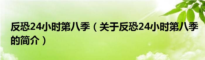 反恐24小時(shí)第八季（關(guān)于反恐24小時(shí)第八季的簡(jiǎn)介）