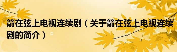 箭在弦上電視連續(xù)?。P(guān)于箭在弦上電視連續(xù)劇的簡(jiǎn)介）