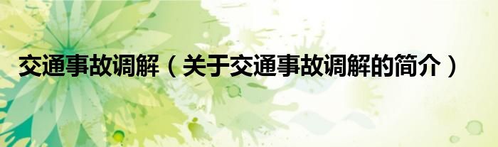 交通事故調(diào)解（關(guān)于交通事故調(diào)解的簡(jiǎn)介）