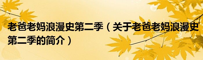 老爸老媽浪漫史第二季（關(guān)于老爸老媽浪漫史第二季的簡(jiǎn)介）