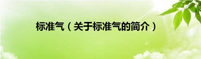 標(biāo)準(zhǔn)氣（關(guān)于標(biāo)準(zhǔn)氣的簡介）