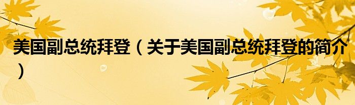 美國(guó)副總統(tǒng)拜登（關(guān)于美國(guó)副總統(tǒng)拜登的簡(jiǎn)介）