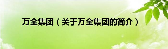 萬全集團(tuán)（關(guān)于萬全集團(tuán)的簡(jiǎn)介）