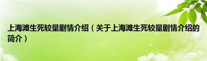 上海灘生死較量劇情介紹（關于上海灘生死較量劇情介紹的簡介）