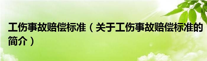 工傷事故賠償標準（關于工傷事故賠償標準的簡介）