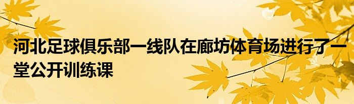 河北足球俱樂部一線隊在廊坊體育場進(jìn)行了一堂公開訓(xùn)練課