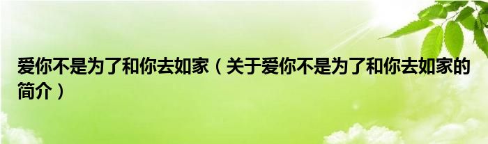 愛你不是為了和你去如家（關(guān)于愛你不是為了和你去如家的簡(jiǎn)介）