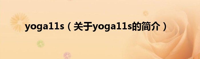 yoga11s（關(guān)于yoga11s的簡(jiǎn)介）